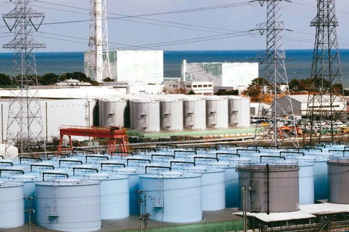 臺(tái)灣是否非 核 不可