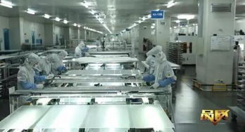 品質(zhì) 欄目無錫尚德 我與太陽有個約定